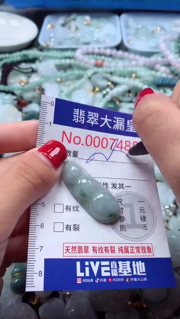 颈饰未镶嵌翡翠7485