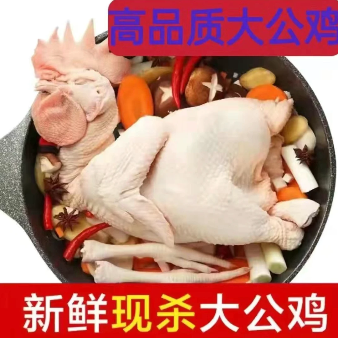 3年老公鸡8_斤正宗农家纯粮土鸡大公鸡现杀柴鸡笨鸡新鲜鸡肉盼