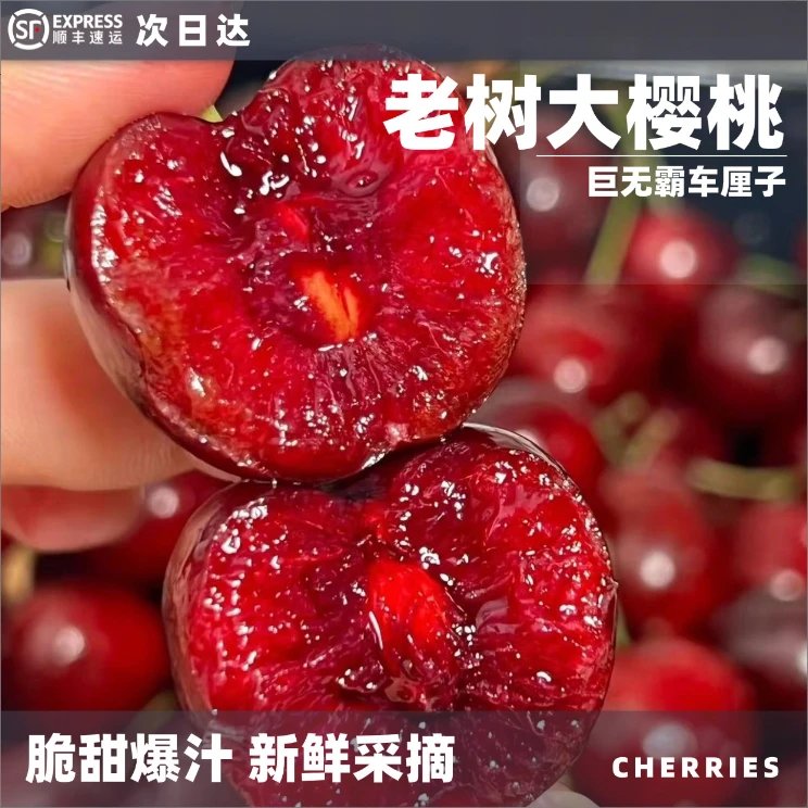 山东美早樱桃正宗山东国产大樱桃2斤装1J/2J/3J/4J/5J巨无霸次日达美早山东省