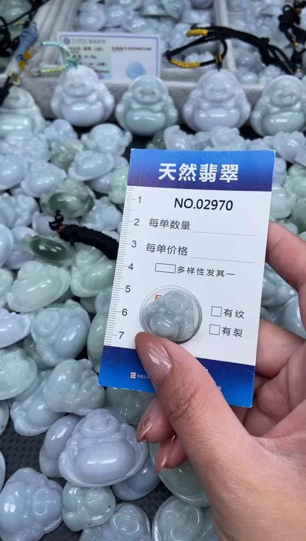颈饰未镶嵌翡翠纯天然A货翡翠2970