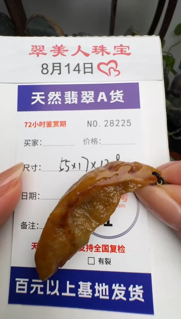 翡翠未镶嵌颈饰原石28225