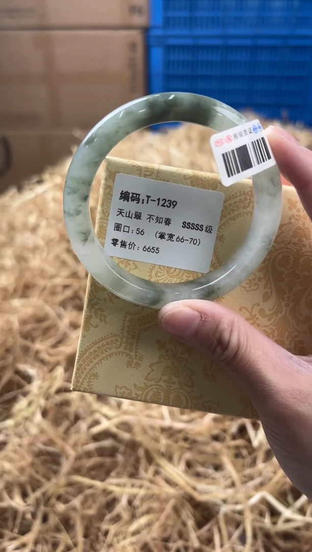 未镶嵌手镯石英质玉T-1239