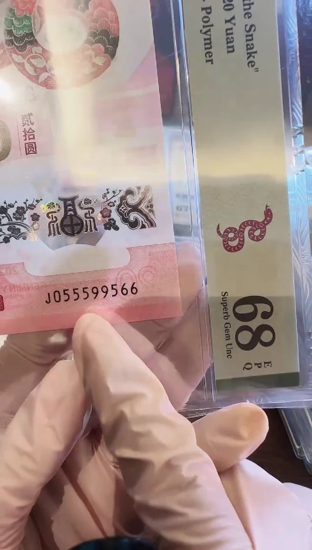塑料2025蛇钞单张啊啊啊啊