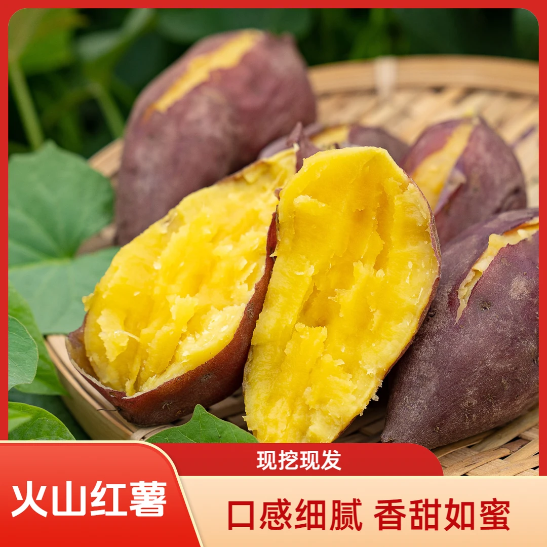 正宗火山红薯新鲜现挖红薯地瓜软糯香甜坏果包赔