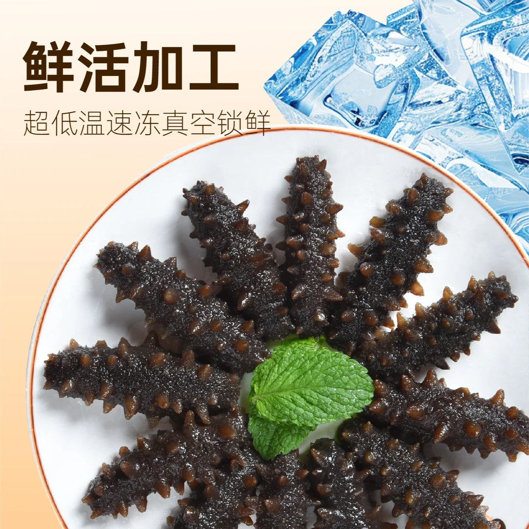 海参冷冻即食海参高蛋白250g 约12-14头  福利品