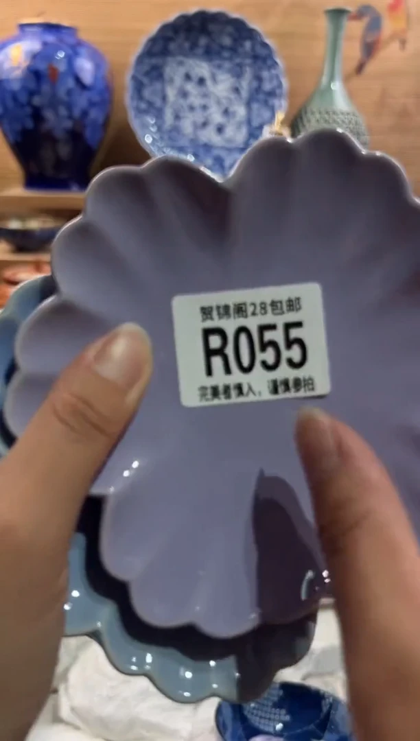 瓷片回****乡       R055
