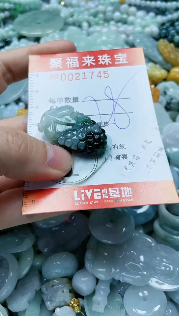 【闪购商品】翡翠颈饰未镶嵌闪购0021745