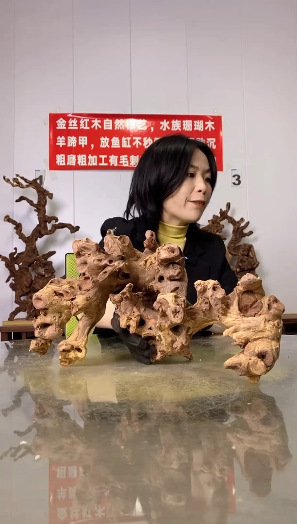 【闪购商品】木28金丝红木 羊蹄甲