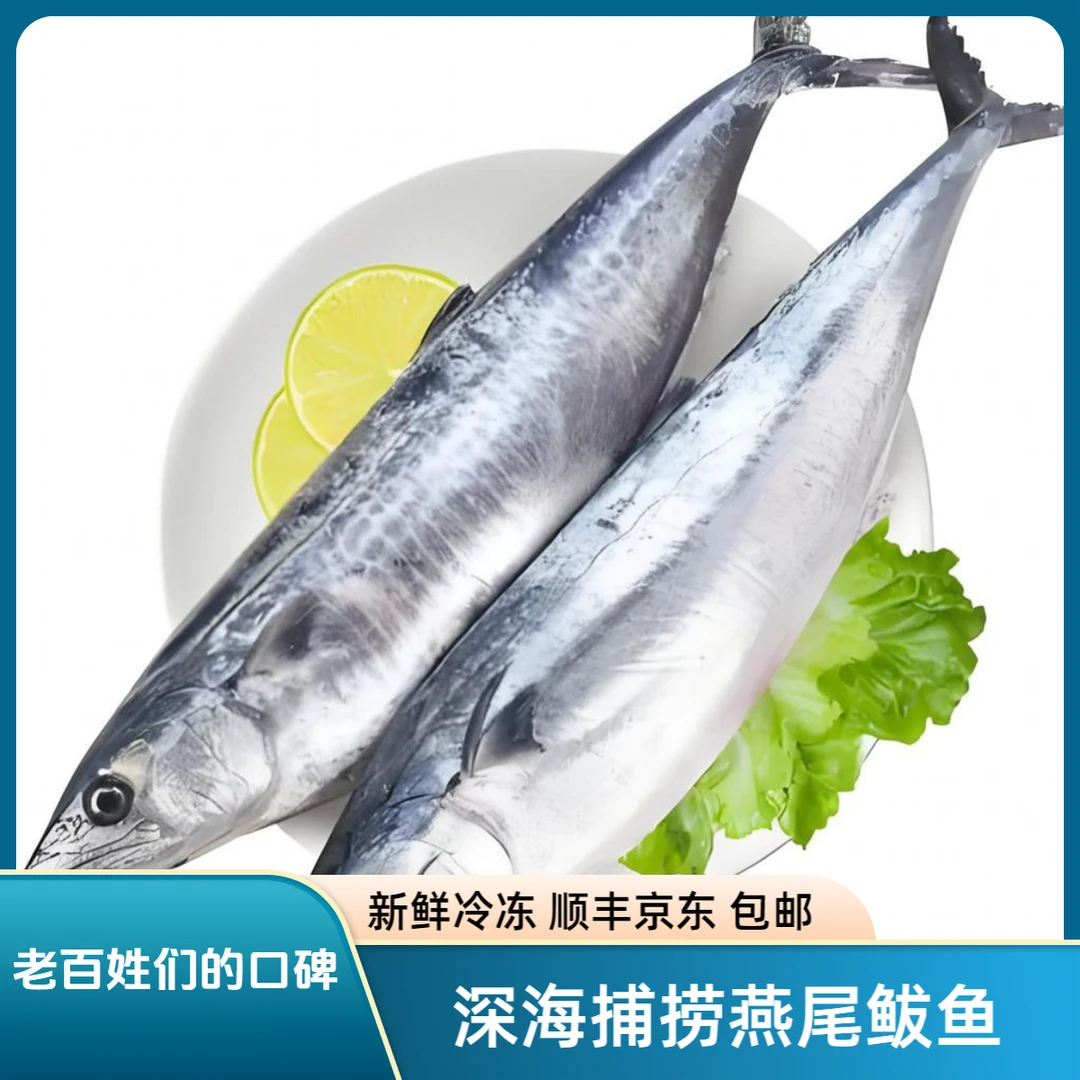 深海生鲜捕捞新鲜燕尾鲅鱼冷冻马鲛鱼顺丰/京东包邮
