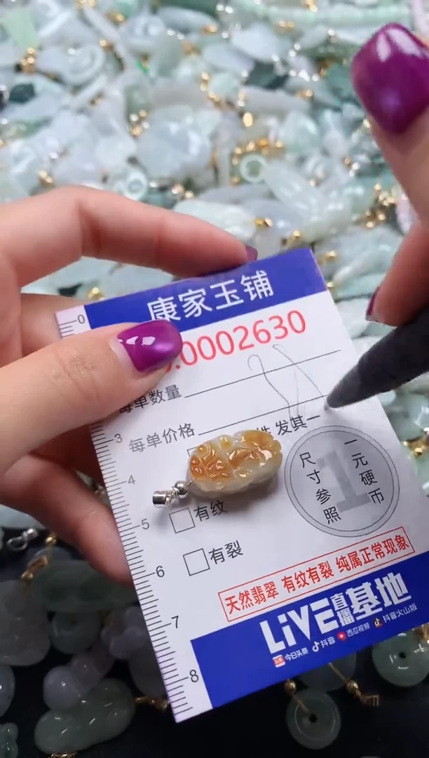 颈饰未镶嵌翡翠2630