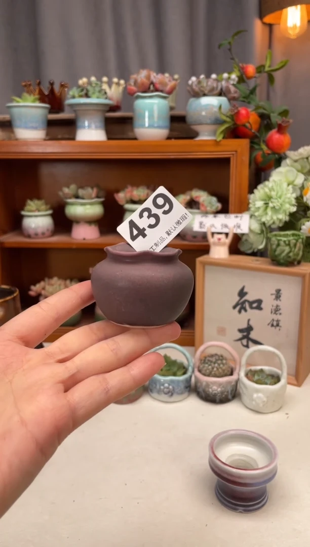 瓷片439知木小芳花盆