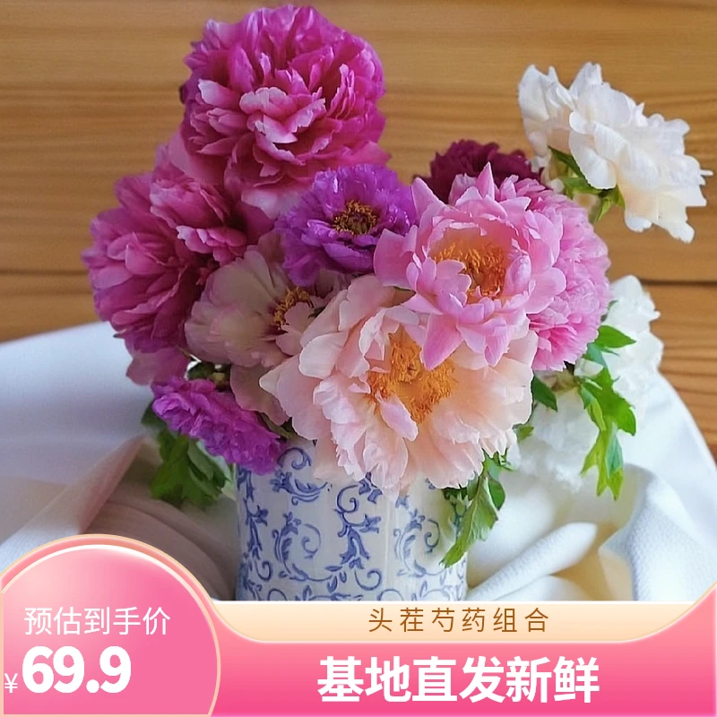 【头茬芍药】 混搭三色组合基地直发