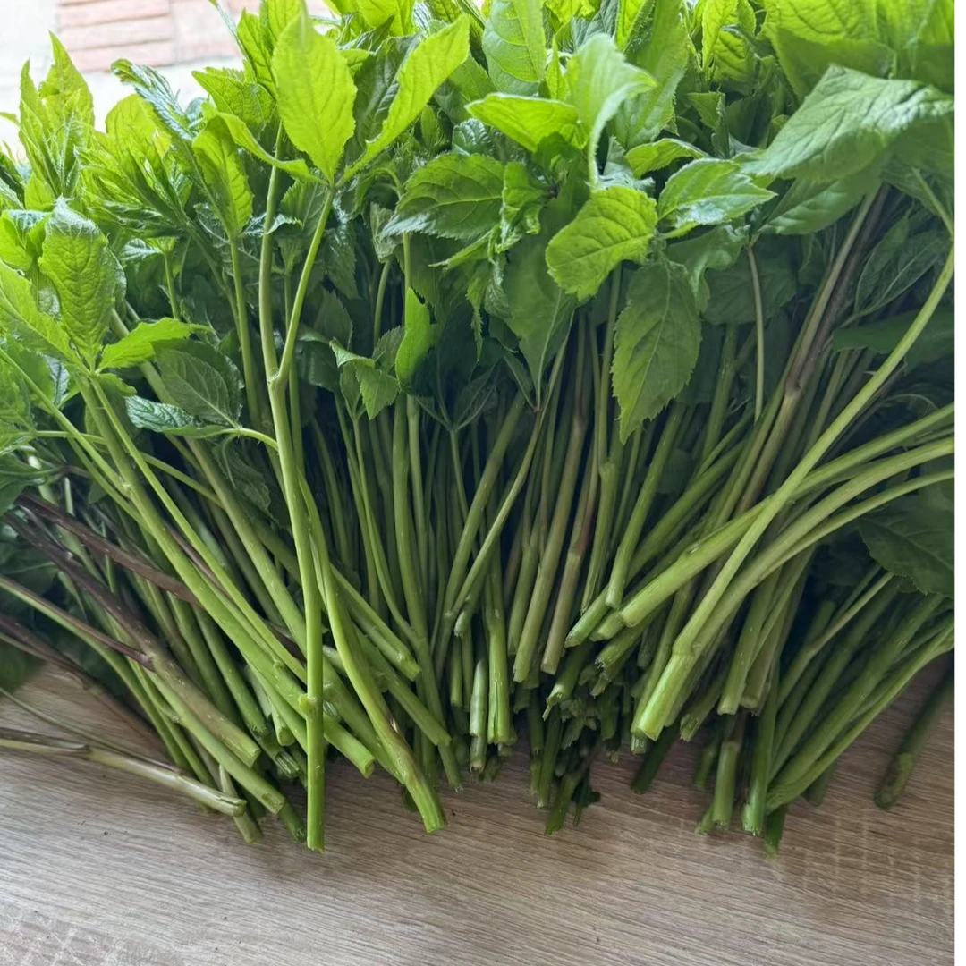 新鲜刺五加东北特产刺果棒拌凉菜