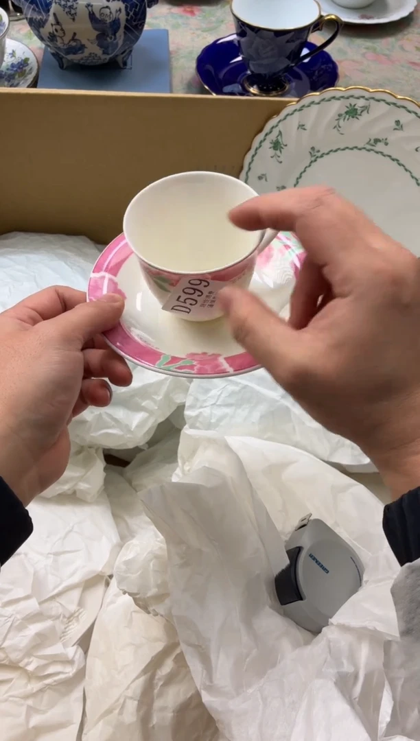 瓷片奥*安       D599