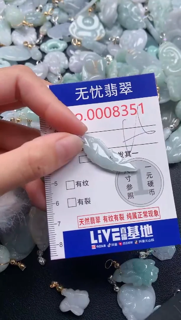 颈饰未镶嵌翡翠8351