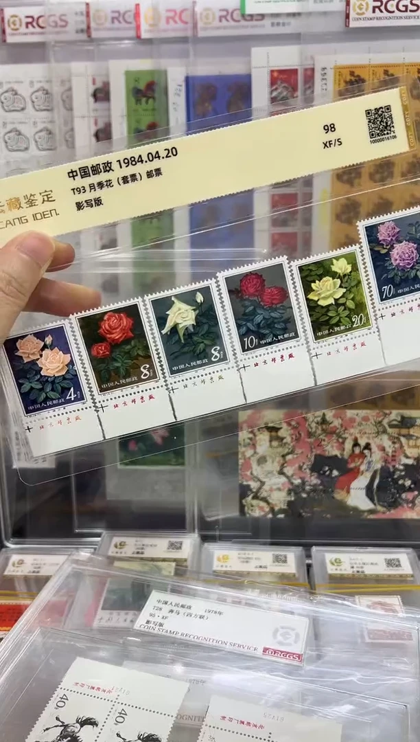 月季花厂名闪购福利