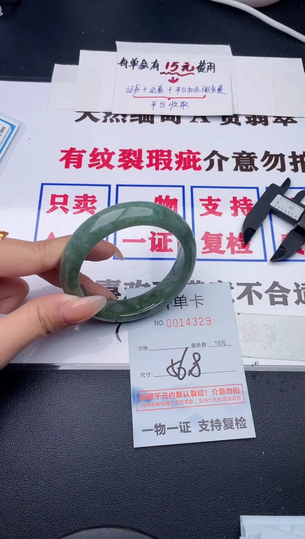 未镶嵌手镯翡翠29