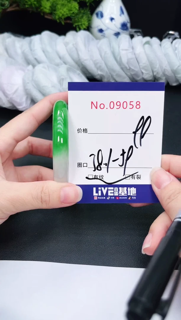 未镶嵌手镯翡翠9058