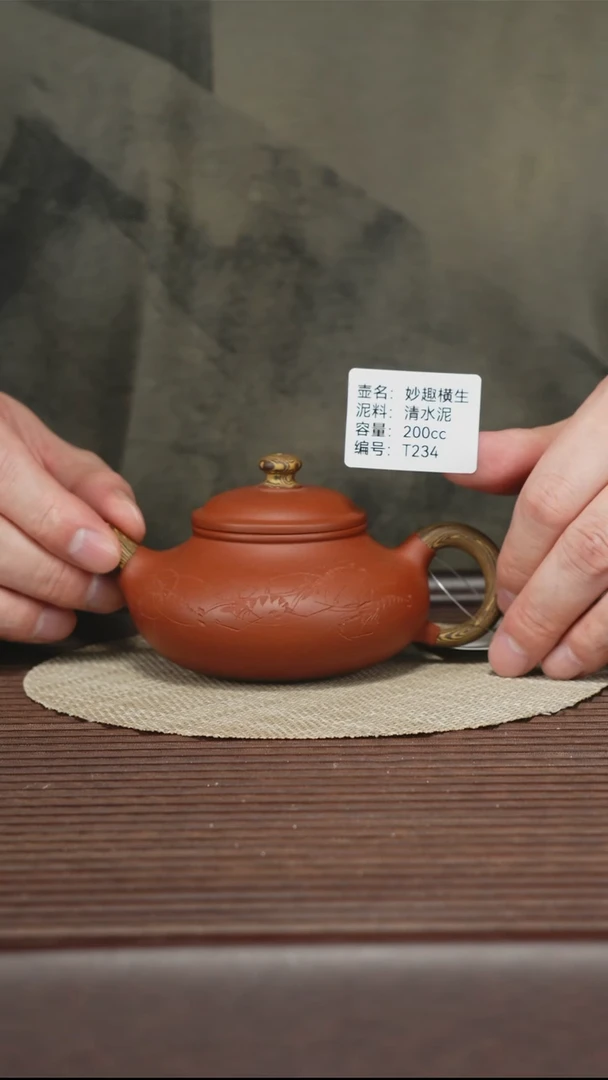 茶壶紫砂T234 清水泥 妙趣衡生 200cc