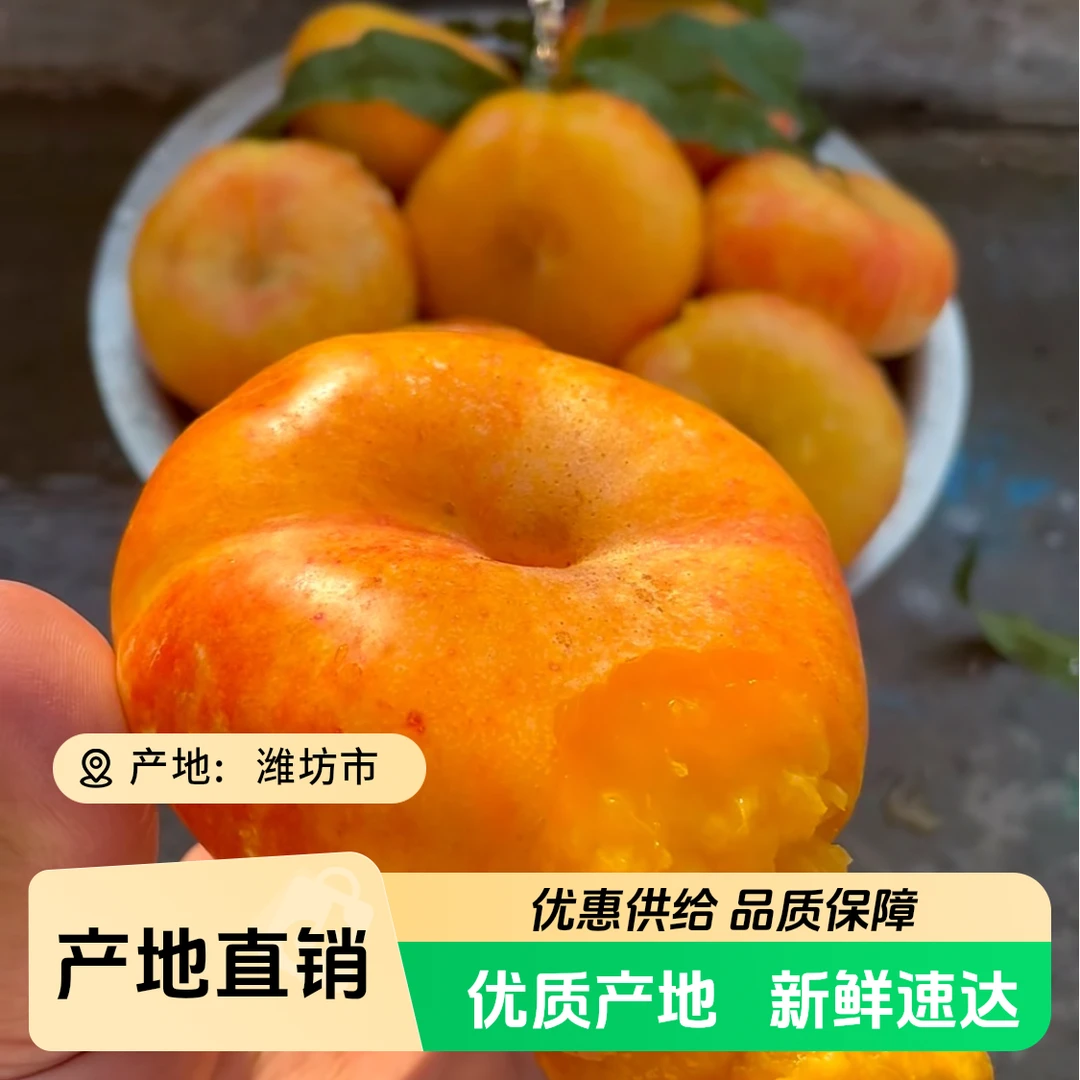 油蟠桃 山东蒙阴 新鲜桃子满满肉感 顺丰包邮山东省