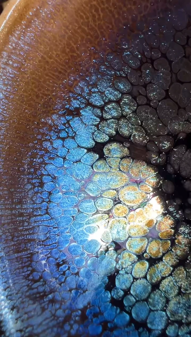 茶盏谢贞生精品分享24