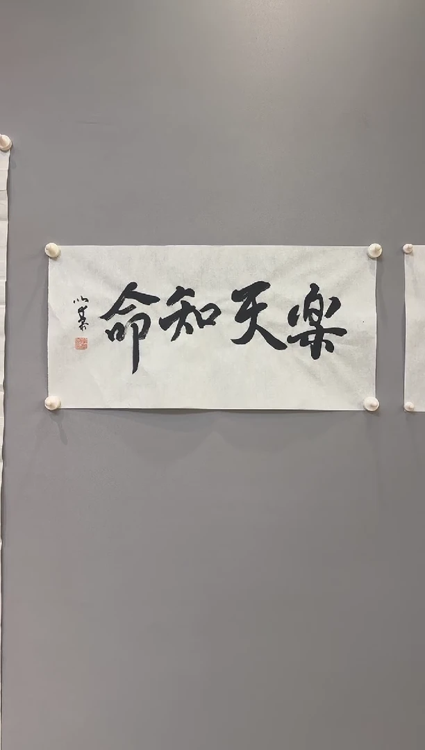【闪购商品】书法李以泰老师书法作品