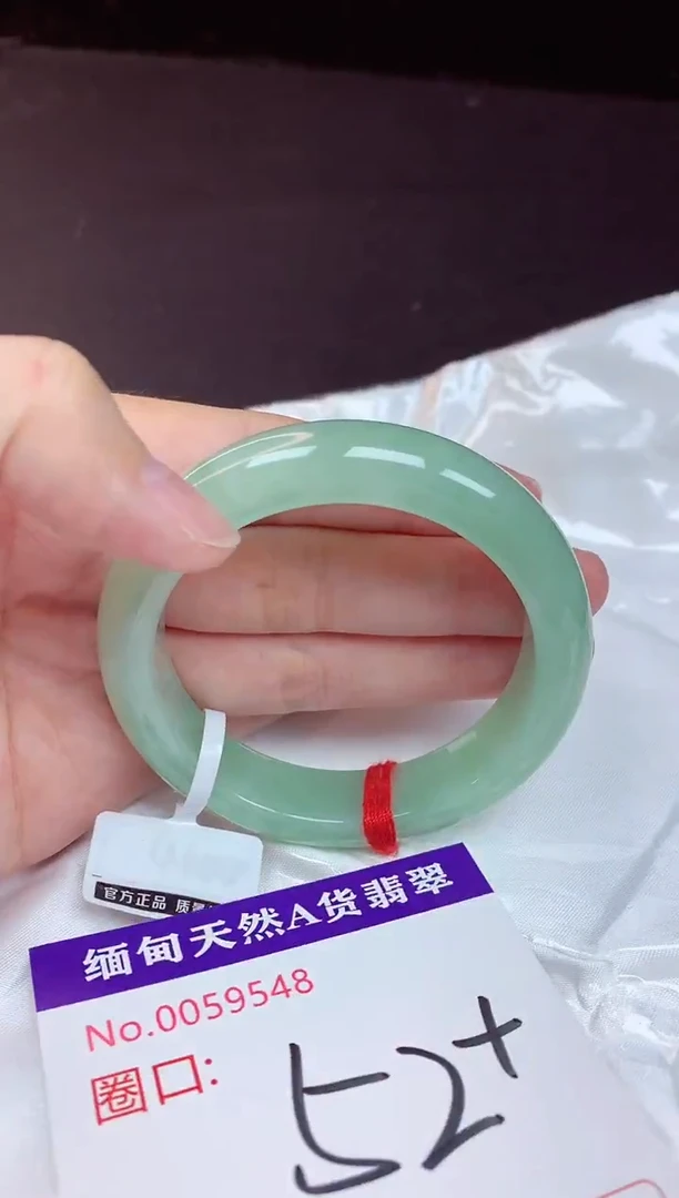 未镶嵌手镯翡翠52