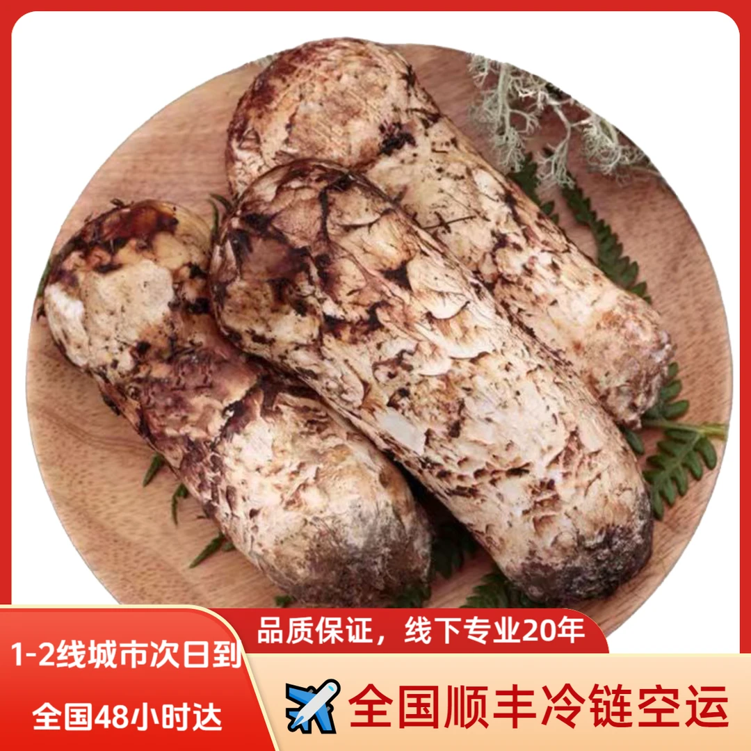 新鲜松茸菌云南香格里拉养生好物顺丰冷链1-2线城市隔天次日到达