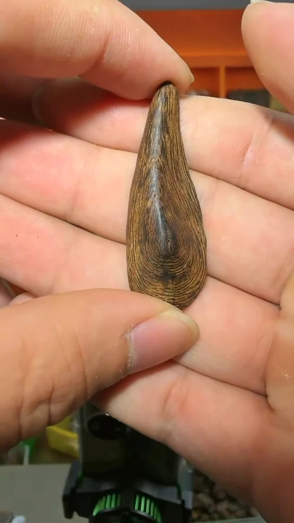 沉香吊坠244号多样性发一