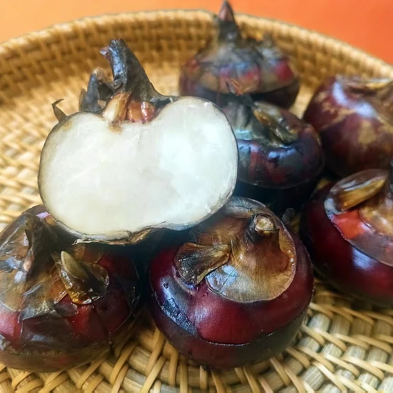 【雪花专属】桂林阳朔沙地水果马蹄荸荠 农家现挖红皮牛奶马蹄