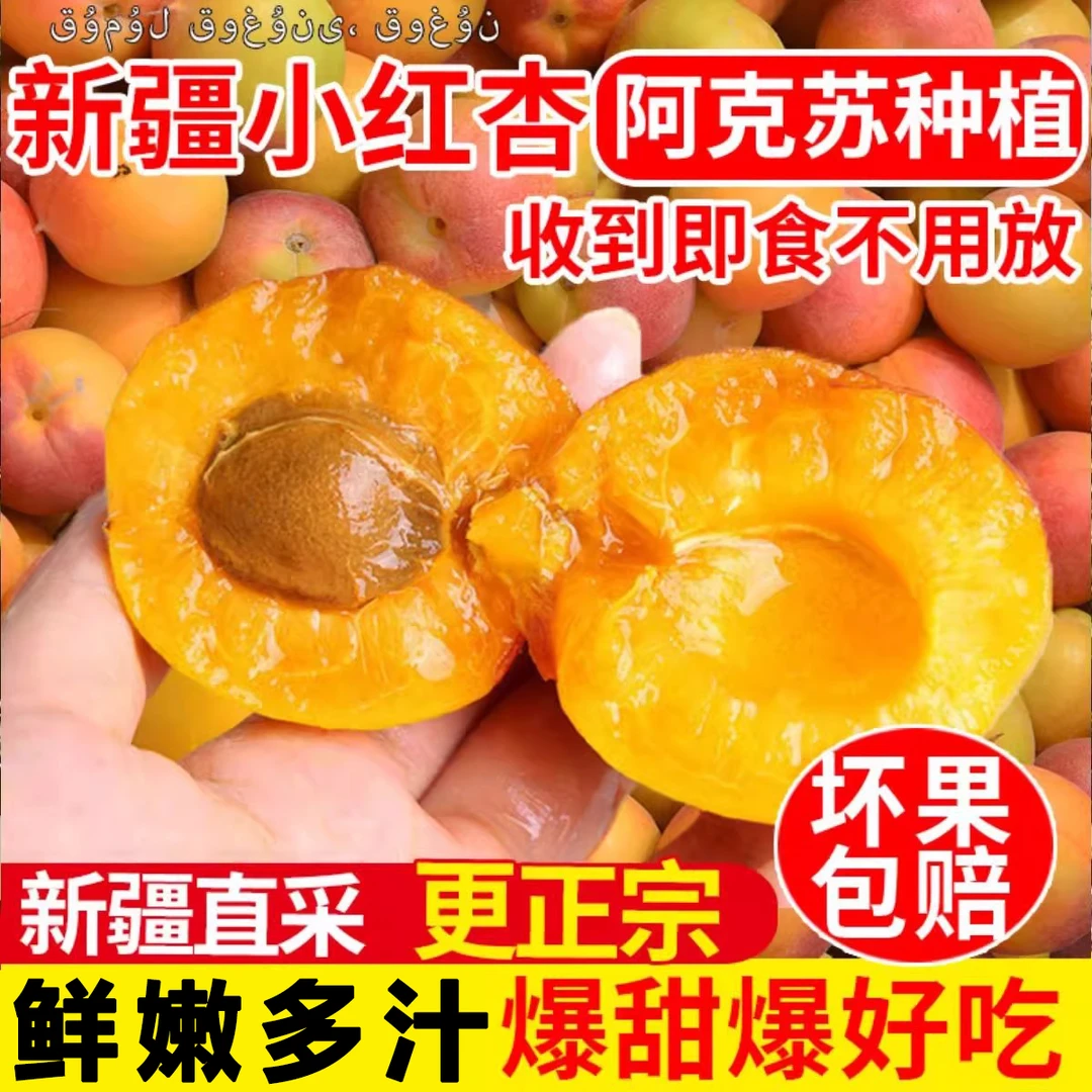新疆四团小红杏当季甜杏新鲜应季水果