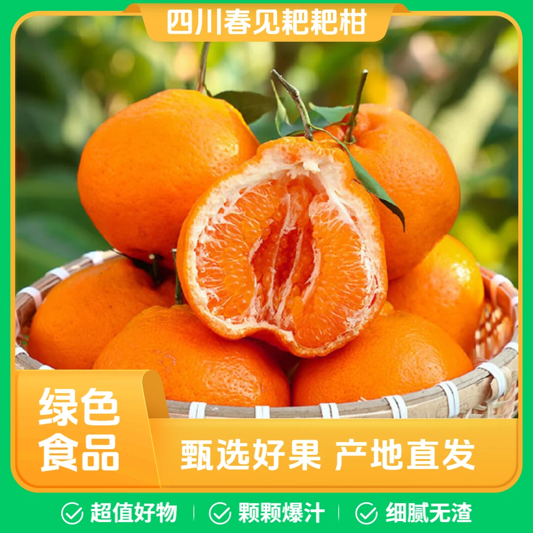 四川正宗春见耙耙柑  自然成熟  新鲜应季水果  现摘现发