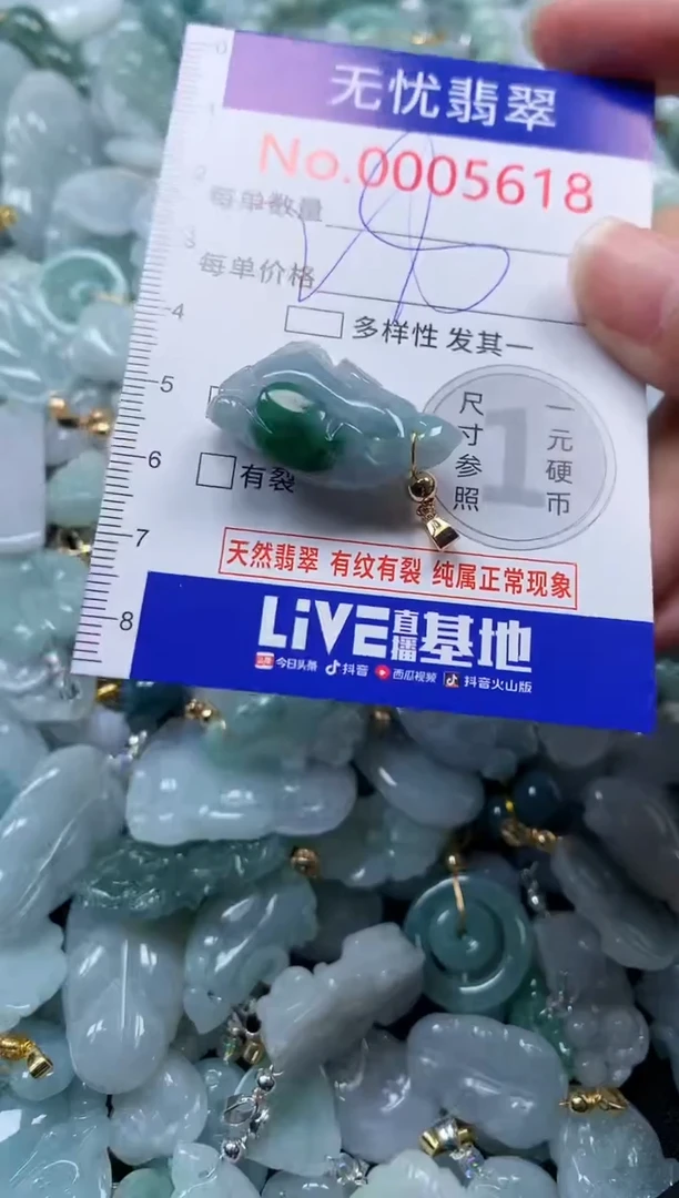 颈饰未镶嵌翡翠5618