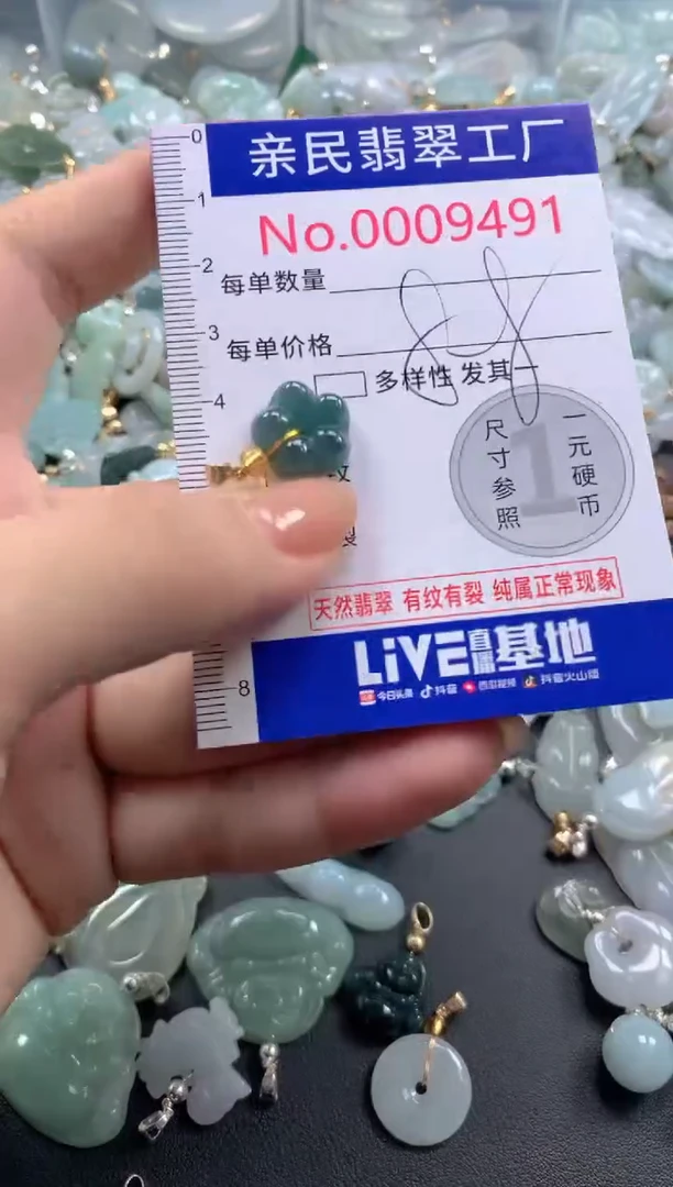 颈饰未镶嵌翡翠9491