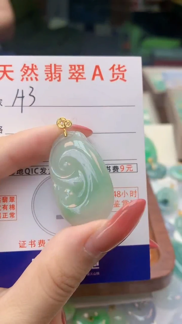 颈饰未镶嵌翡翠天然A货翡翠挂件
