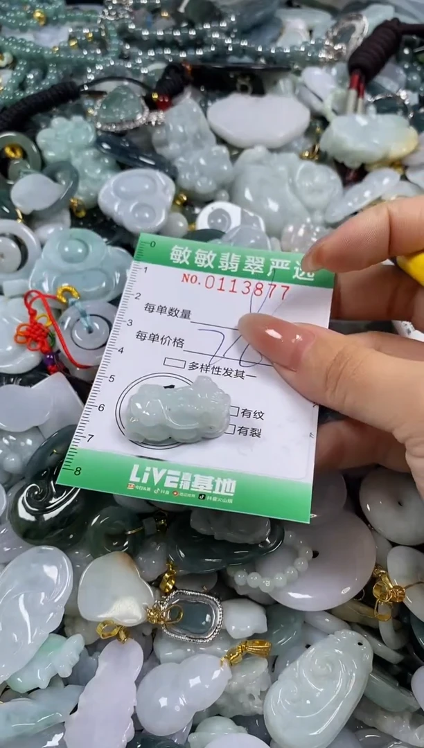 【闪购商品】翡翠颈饰未镶嵌闪购0113877