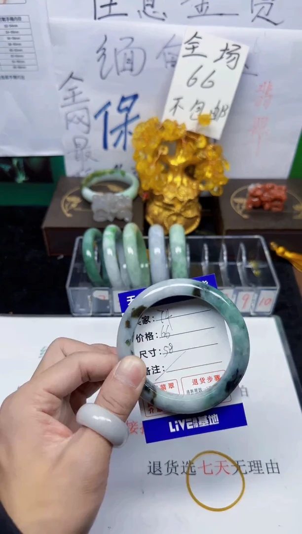 未镶嵌手镯翡翠74