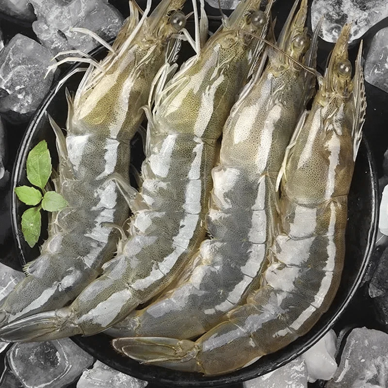 大海水虾海洋大虾单冻只只分离新鲜活虾速冻原盒5斤14-18顺丰冷链