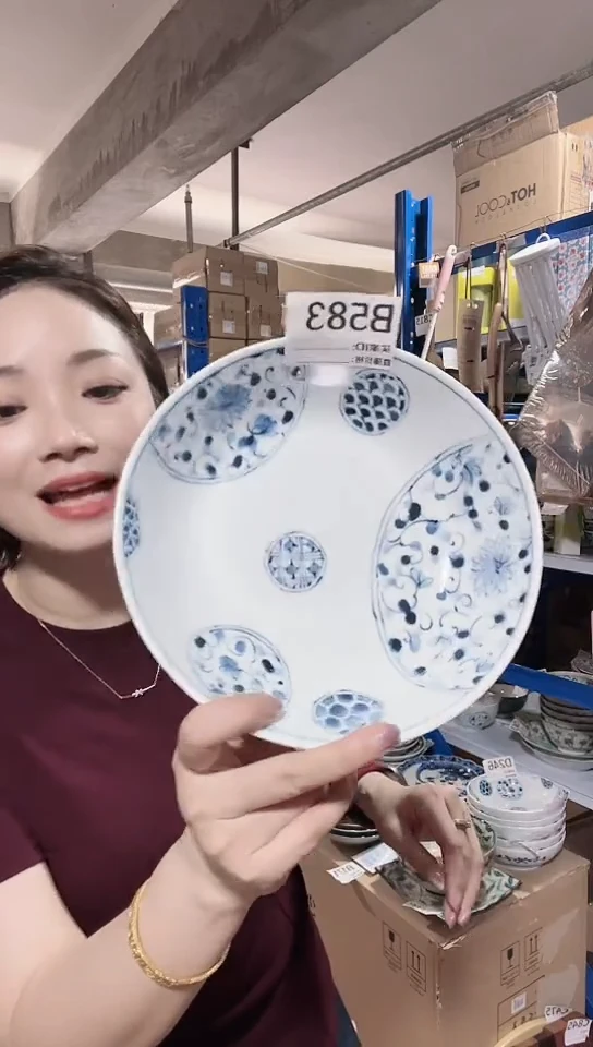 瓷片日本进口瓷器21.3cm花伊B583