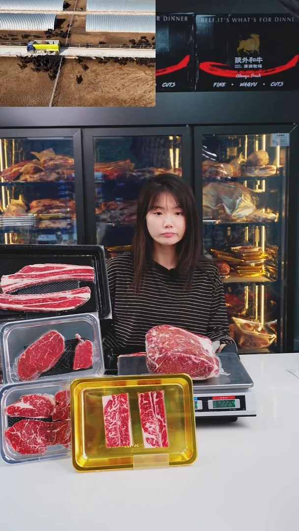 24个月中国大陆和牛肉饼20个