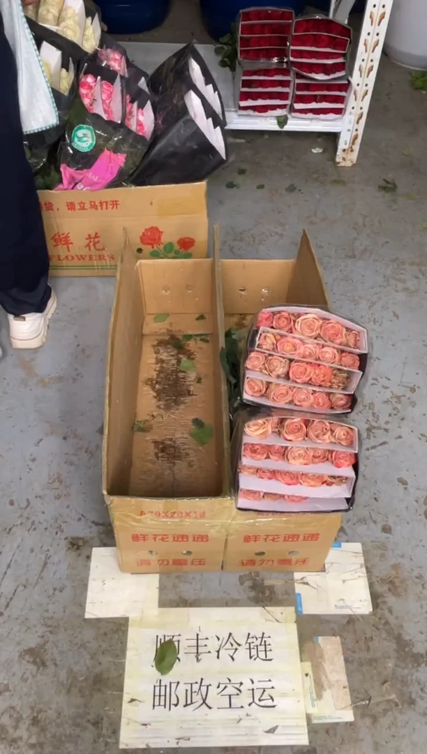 卡布3扎