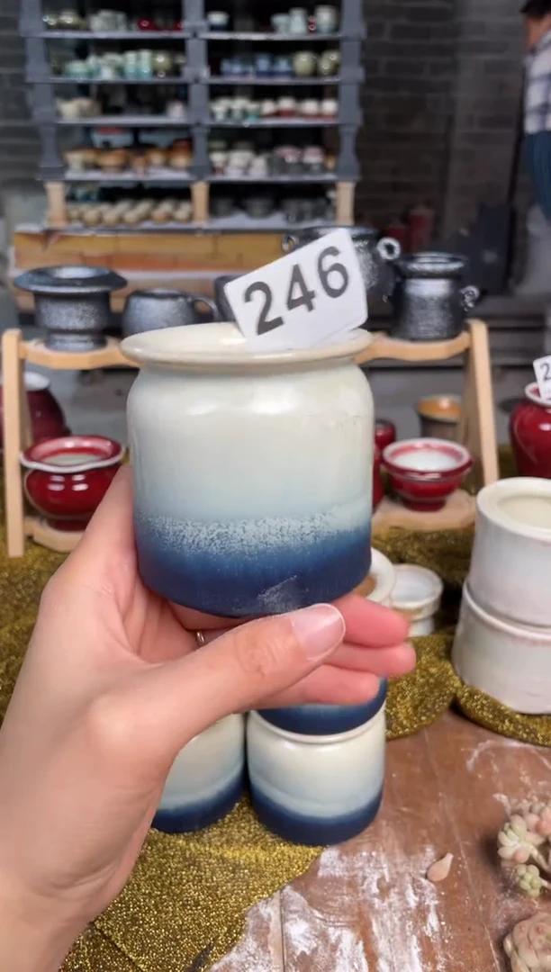 【闪购商品】摆件246知木小芳花盆直播编号