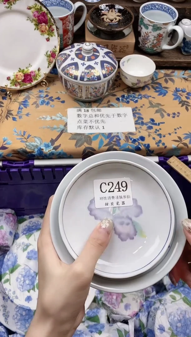 瓷片柳*柳                C249