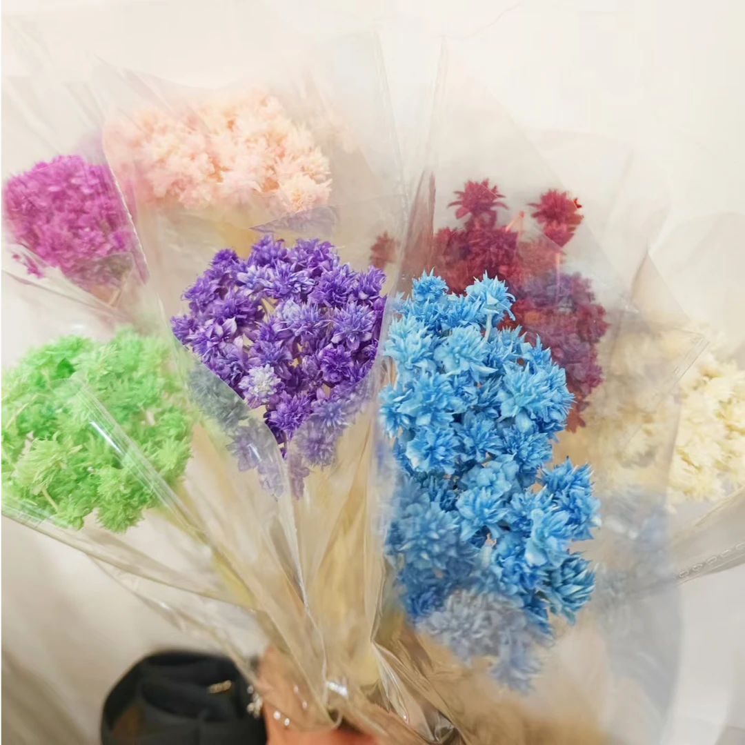 【小山花】现货花头直径1cm通草干花手工制作花束搭配干花小花配花