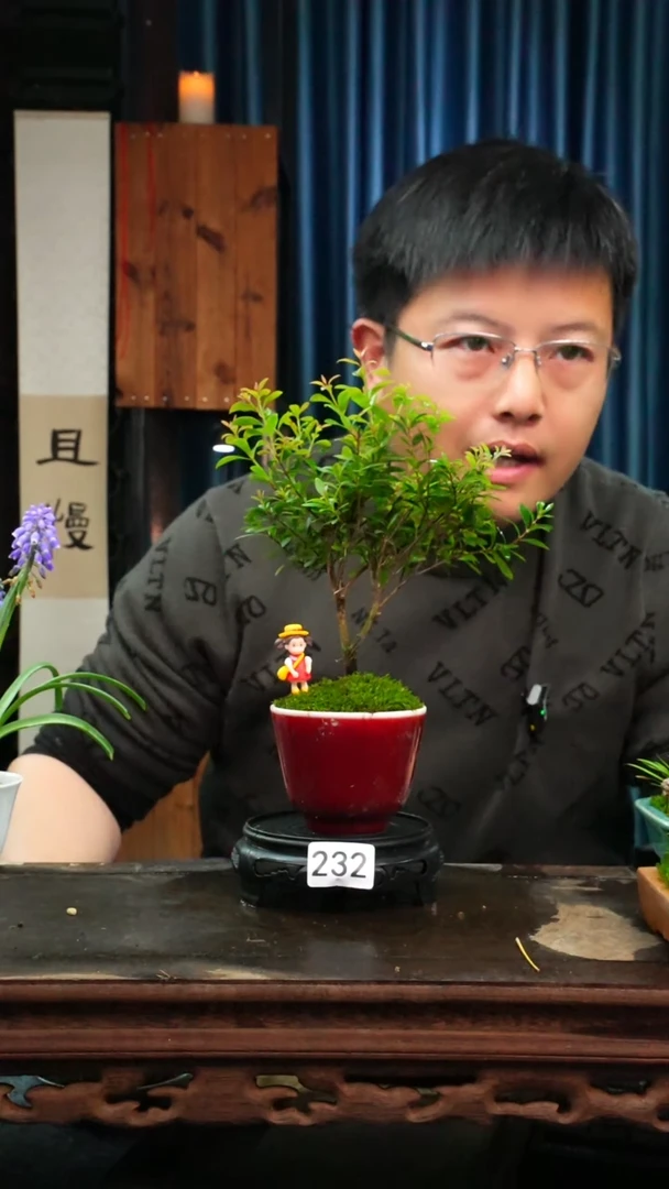 【闪购商品】苔藓微景观232号