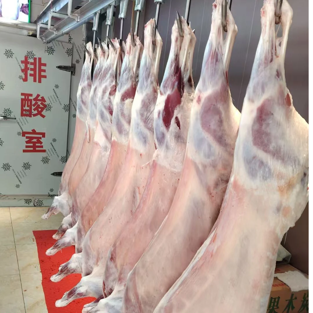 新鲜现杀羊整烧烤纯正阿勒泰大尾巴羊整羊13-15公斤整扇30%腿排