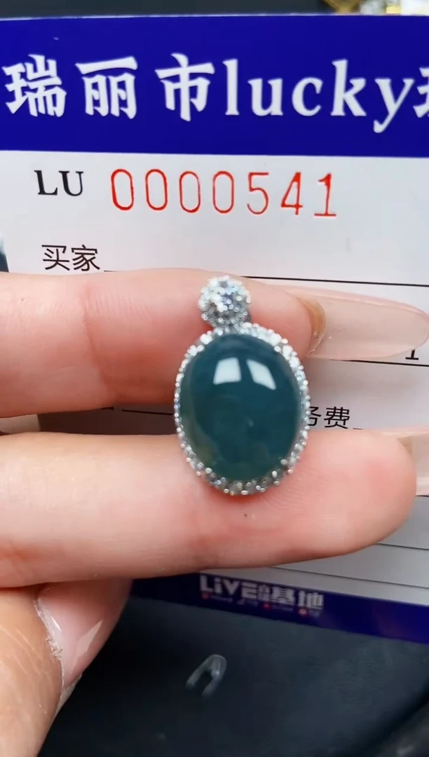 【闪购商品】翡翠颈饰银S925镶嵌0541