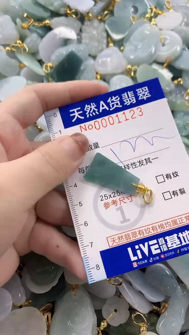 颈饰未镶嵌翡翠天然A货翡翠