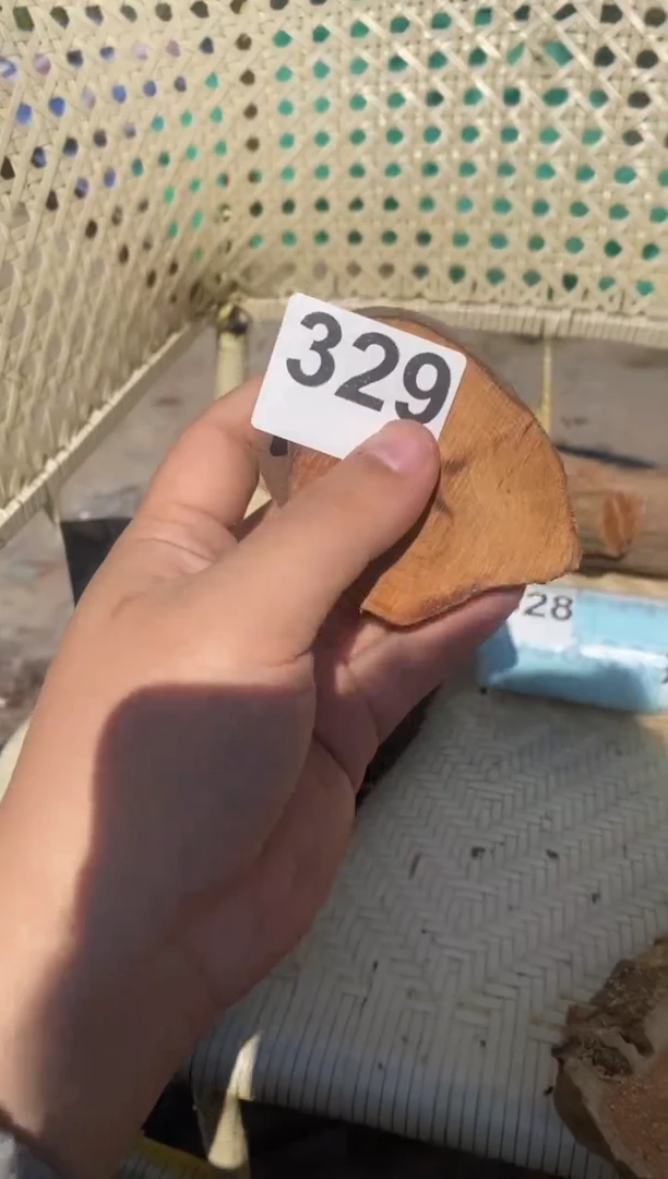 柏木（崖柏）太行山陈化崖柏一片329