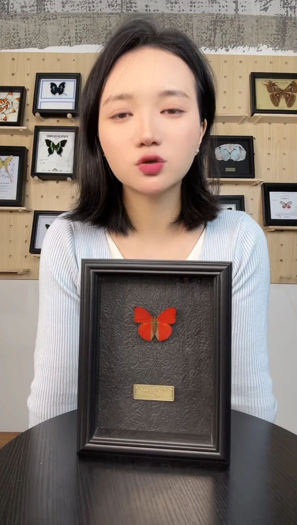 血漪蛱蝶（蝴蝶装饰画7寸框）